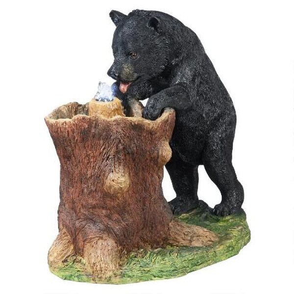 Guzzling Gulp Black Bear Garden Fountain Drinking Wildlife Grizzly